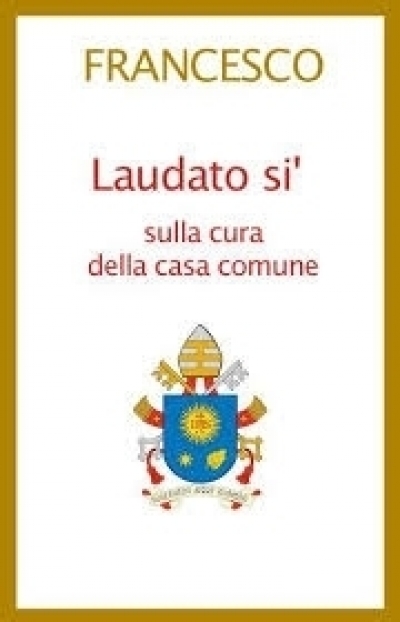Laudato Si and Missed Opportunities